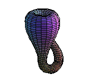 klein bottle